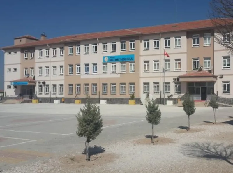 Merkez Naci Abay İlkokulu - Merkez ilkokulları