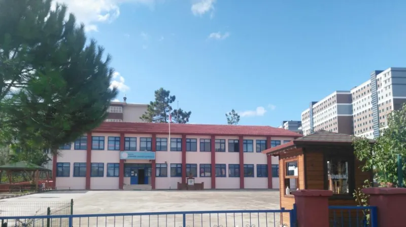 Merkez Şiremir Çavuş İlkokulu - Merkez ilkokulları