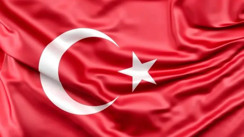 Ergani Koyunalan İlkokulu - Ergani ilkokulları