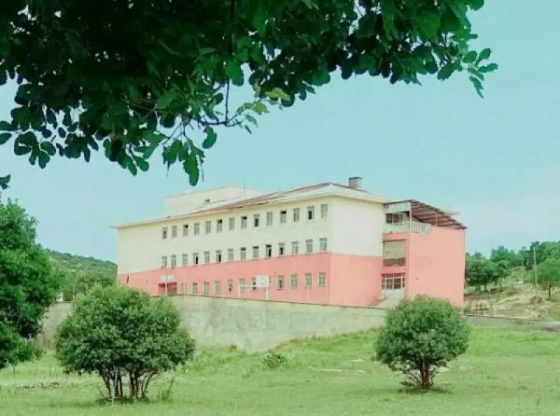 Kulp Bayır İlkokulu - Kulp ilkokulları