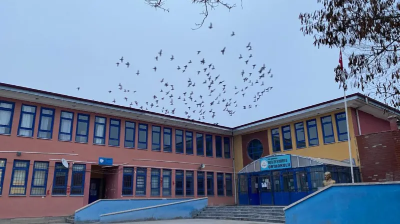 Karakoyunlu Mürşitali Şehit Muharrem Taş İlkokulu - Karakoyunlu ilkokulları