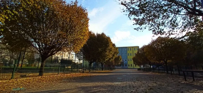 Merkez Kurtuluş İlkokulu - Merkez ilkokulları