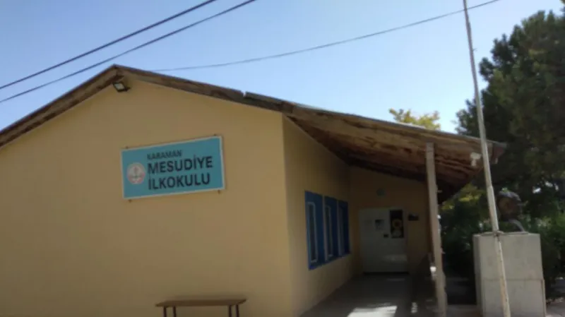 Merkez Mesudiye İlkokulu - Merkez ilkokulları
