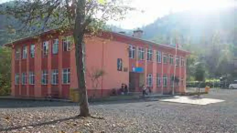 Altınordu Gökömer İlkokulu - Altınordu ilkokulları