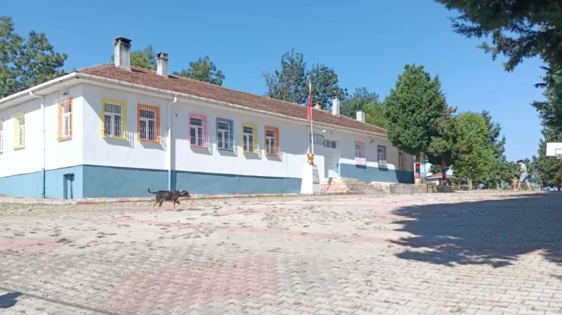 Canik Düvecik İlkokulu - Canik ilkokulları