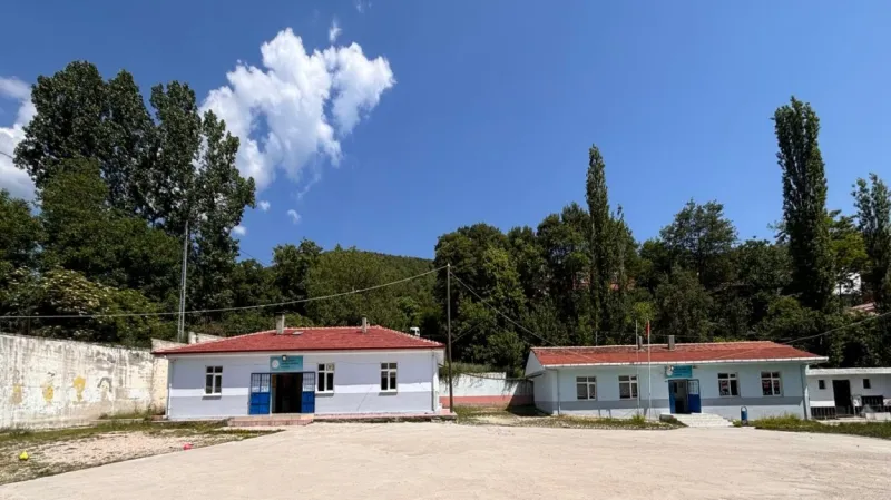 Vezirköprü Sarıdibek Köyderesi İlkokulu - Vezirköprü ilkokulları