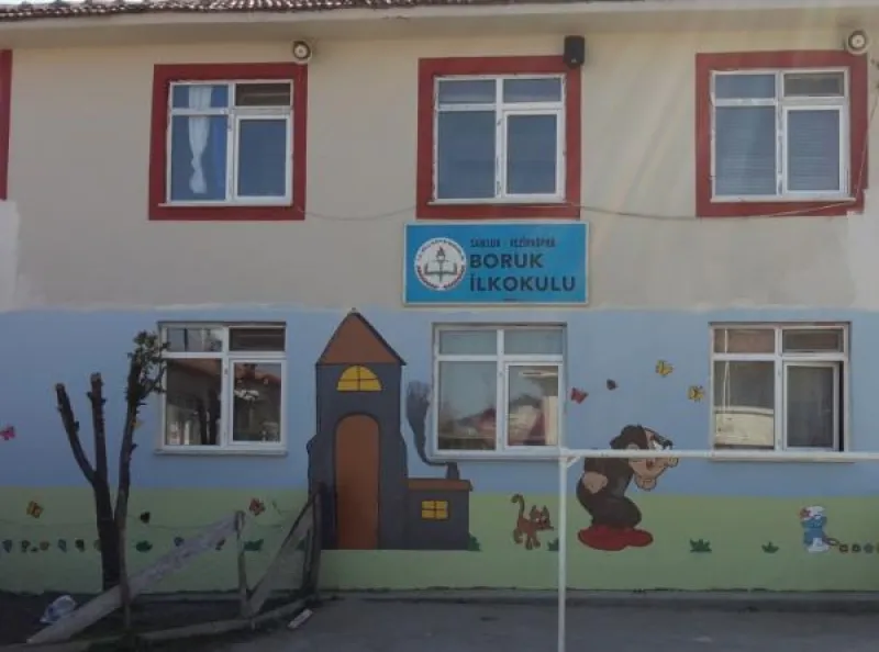 Vezirköprü Boruk İlkokulu - Vezirköprü ilkokulları