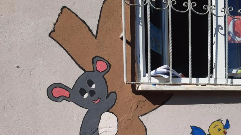 Vezirköprü Mahmatlı İlkokulu - Vezirköprü ilkokulları