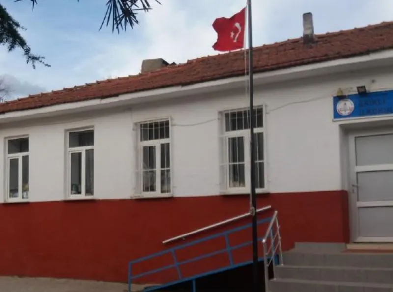 Balıkesir Erikli İlkokulu - Balıkesir ilkokulları