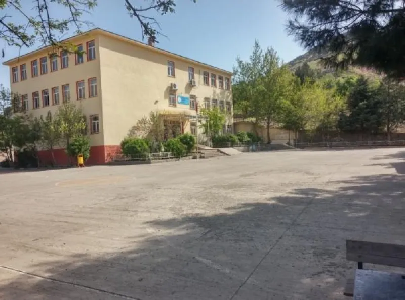 Diyarbakır Saray İlkokulu - Diyarbakır ilkokulları