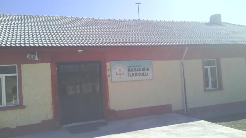 Erzincan Karadiğin İlkokulu - Erzincan ilkokulları