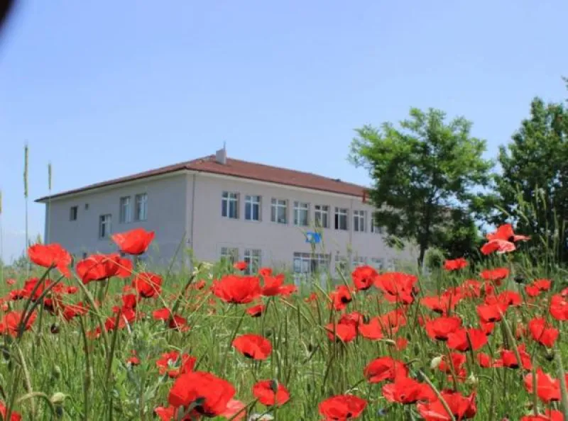Erzincan Beşsaray İlkokulu - Erzincan ilkokulları