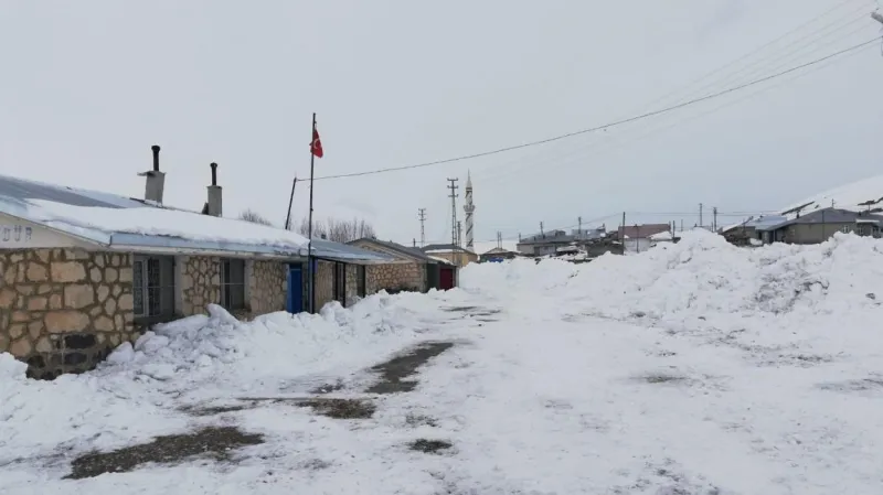 Erzurum Alemdağ İlkokulu - Erzurum ilkokulları