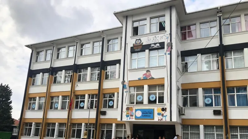 İstanbul Mahmutbey İlkokulu - İstanbul ilkokulları