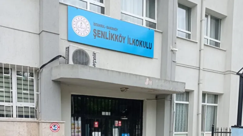 İstanbul Şenlikköy İlkokulu - İstanbul ilkokulları