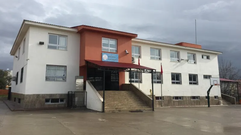 Mersin Aslanlı İlkokulu - Mersin ilkokulları