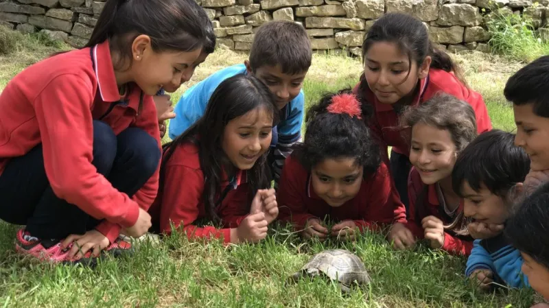 Mersin Suçatı İlkokulu - Mersin ilkokulları