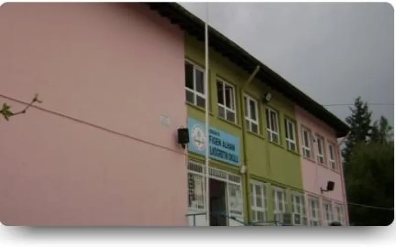 Osmaniye Figen Alhan İlkokulu - Osmaniye ilkokulları