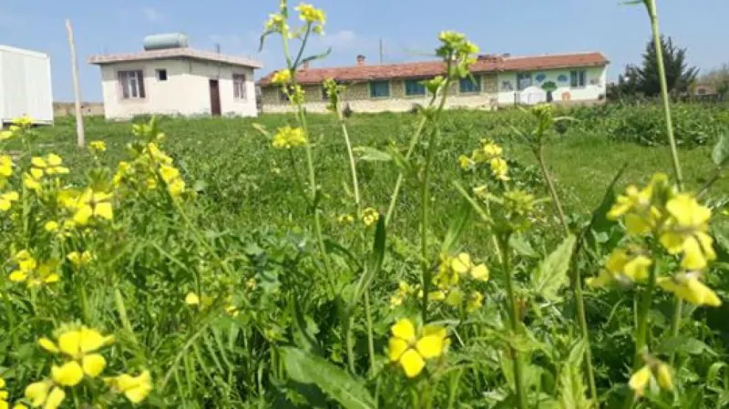 Alaca İlkokulu Fotoğrafı