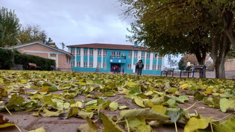 Dumlukuyu İlkokulu Fotoğrafı