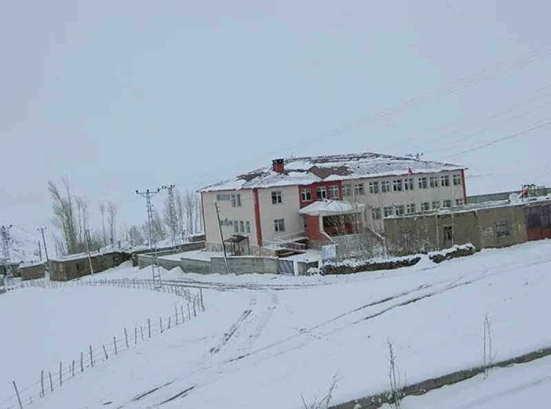 Bağrıyanık İlkokulu Fotoğrafı